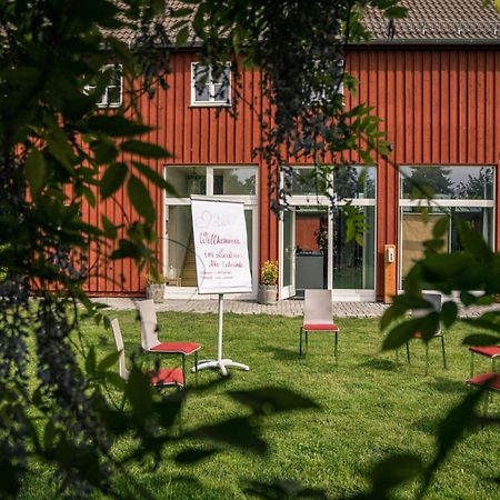 Landhaus Alte Schmiede Niemegk エクステリア 写真