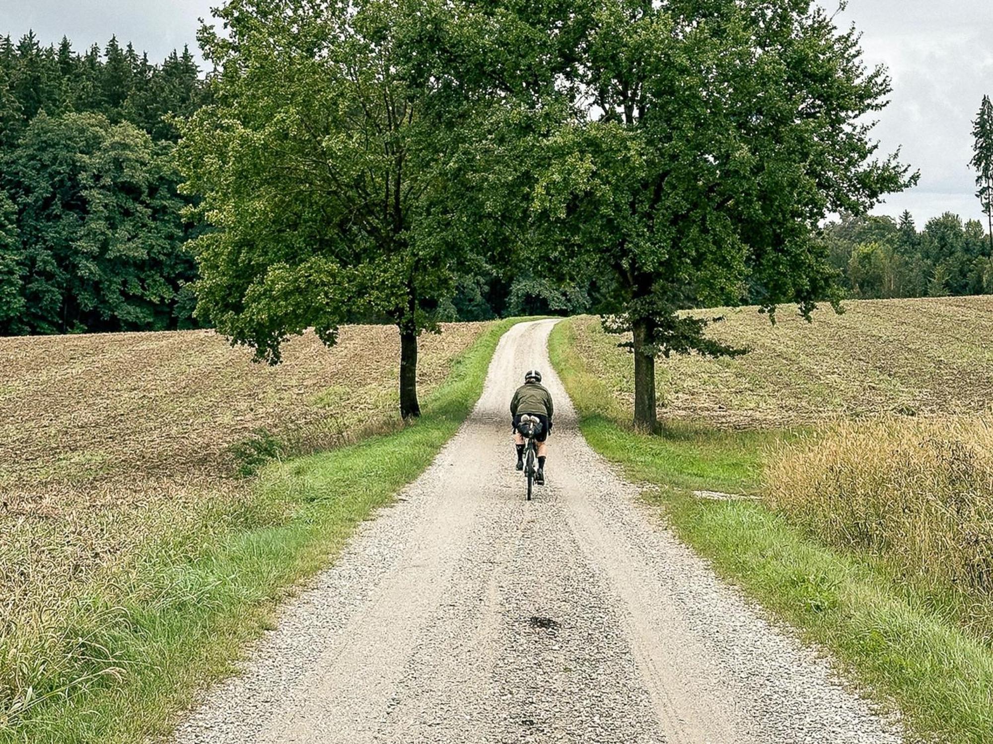 Landhaus Alte Schmiede Niemegk エクステリア 写真